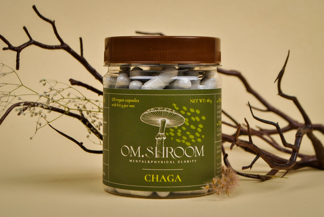 Chaga Pilz